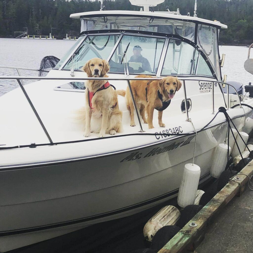 Halibut Fishing BC ReelIn Massive Halibut On Vancouver Island